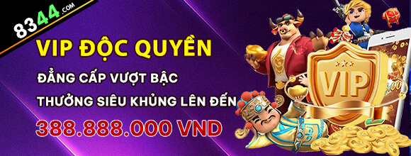 Hình ảnh quảng cáo của z66 hiển thị nền tảng và các lợi ích
