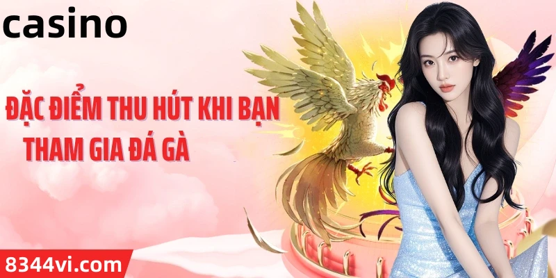 Hình ảnh quảng cáo của z66 hiển thị nền tảng và các lợi ích