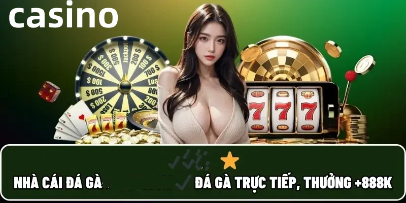 Hình ảnh quảng cáo của z66 hiển thị nền tảng và các lợi ích