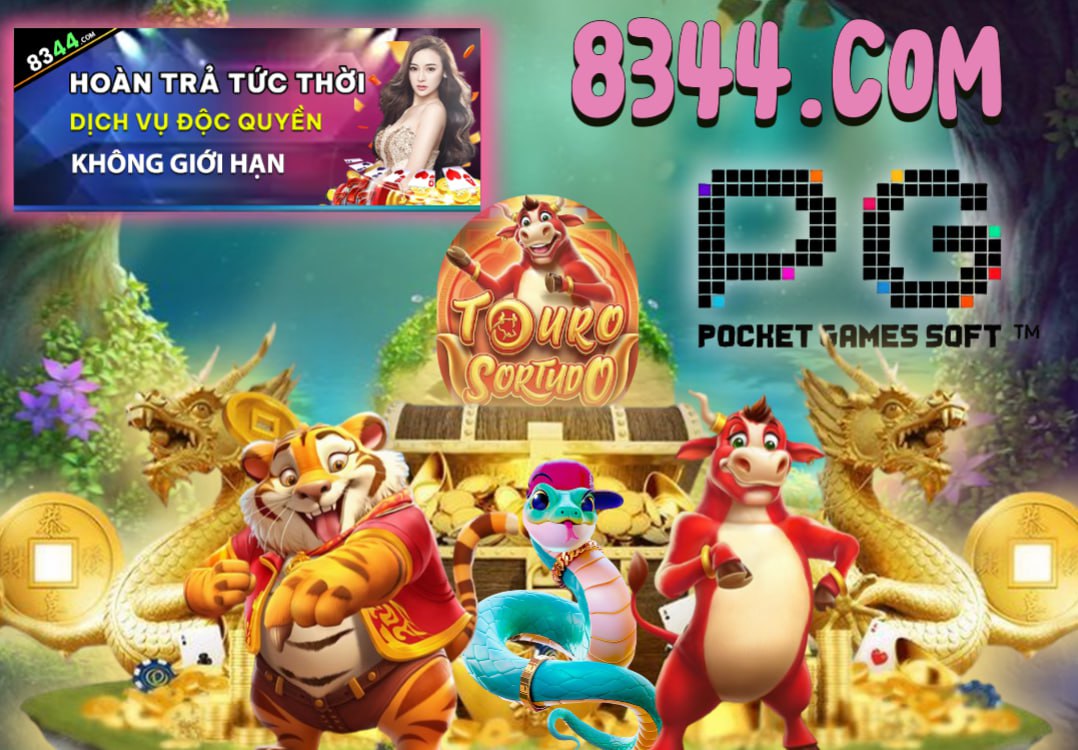 Hình ảnh quảng cáo của z66 hiển thị nền tảng và các lợi ích