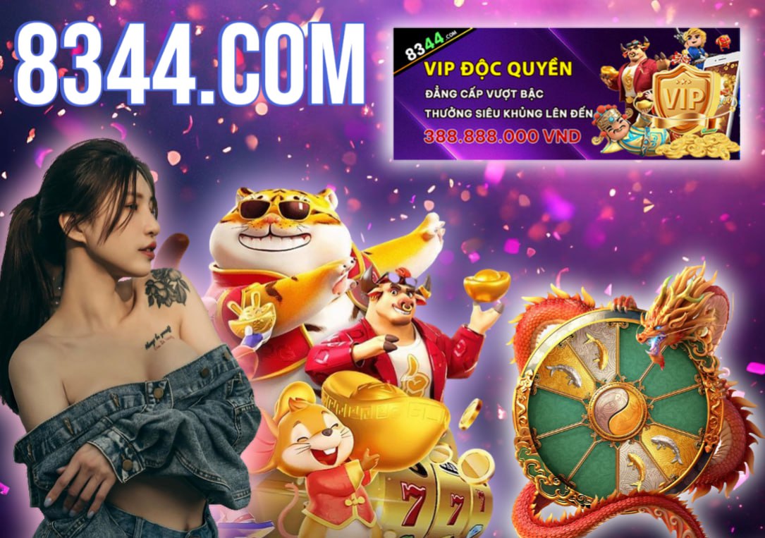 Hình ảnh quảng cáo của z66 hiển thị nền tảng và các lợi ích