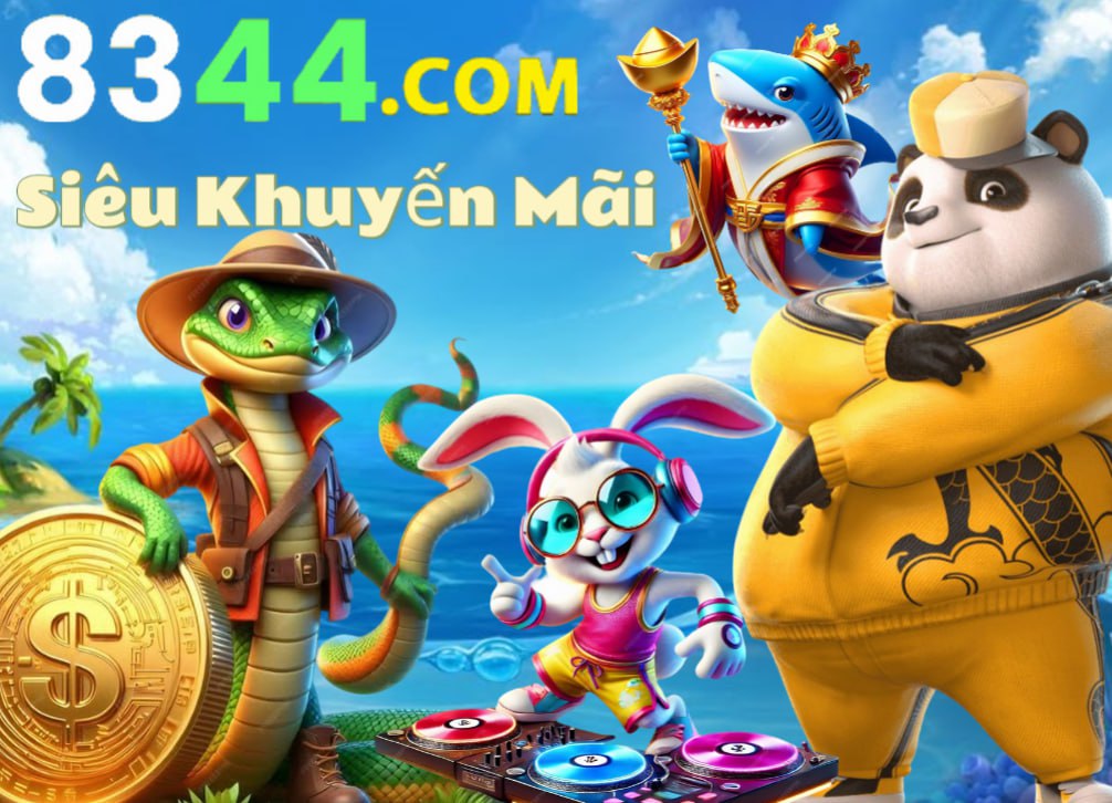 Hình ảnh quảng cáo của z66 hiển thị nền tảng và các lợi ích