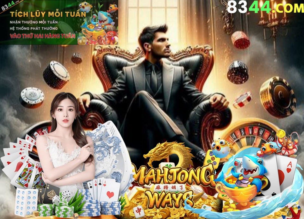 Hình ảnh quảng cáo của z66 hiển thị nền tảng và các lợi ích