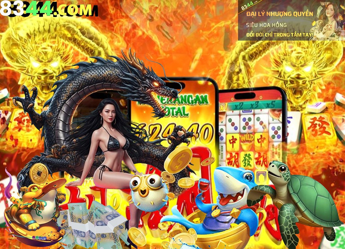 Hình ảnh quảng cáo của z66 hiển thị nền tảng và các lợi ích