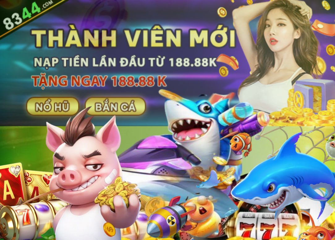 Hình ảnh quảng cáo của z66 hiển thị nền tảng và các lợi ích